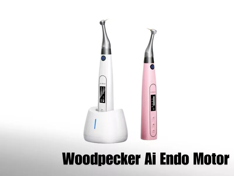 Woodpecker Ai Endo Motor