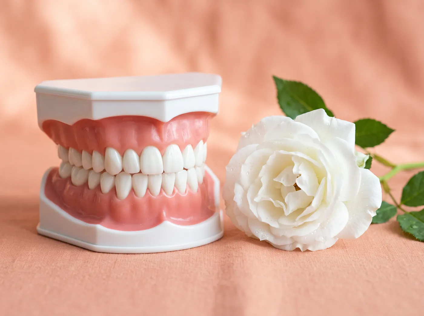Teeth whitening real smiles from our office at Omni Dental in Arlington Heights, IL